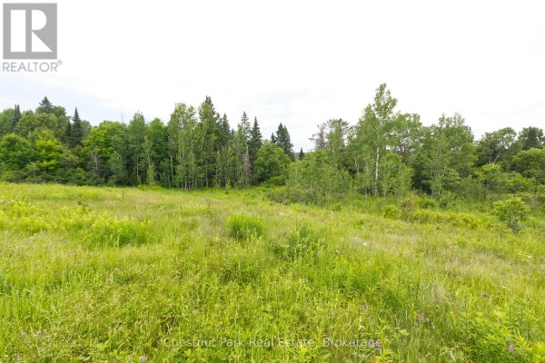 Lot 78 141 Highway, Seguin, ON, photo 2