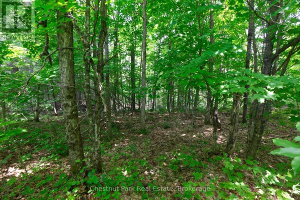Lot 78 141 Highway, Seguin, ON, photo 3