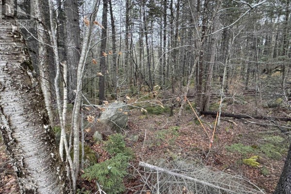Lot 78 Thumb Cap Point, Labelle, NS B0T1E0 Photo 3