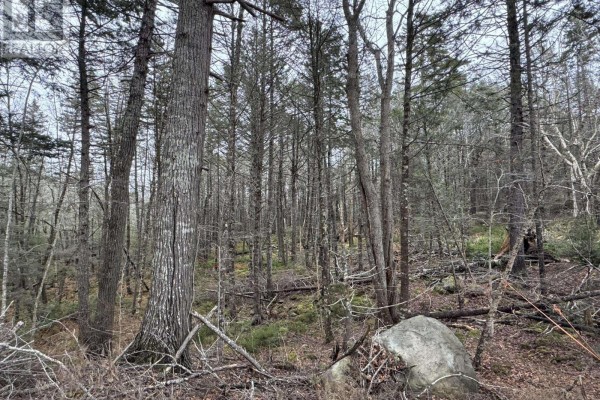Lot 78 Thumb Cap Point, Labelle, NS B0T1E0 Photo 4