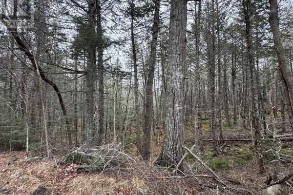 Lot 78 Thumb Cap Point, Labelle, NS B0T1E0 Photo 5