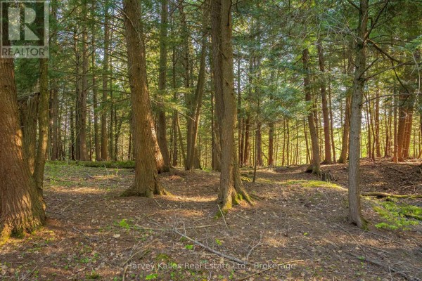 Lot #8 - 38 Gryffin Bluffs Lane, Huntsville, ON P0B1M0 Photo 4