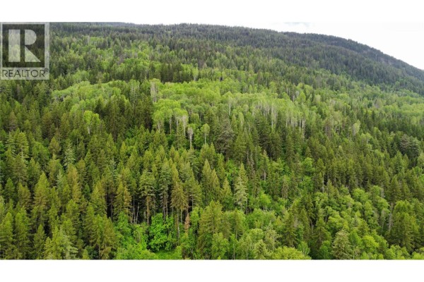 Aerial view of a thick, green forest covering a large hillside area. - Lot 8 Arrow Lakes Drive, Castlegar