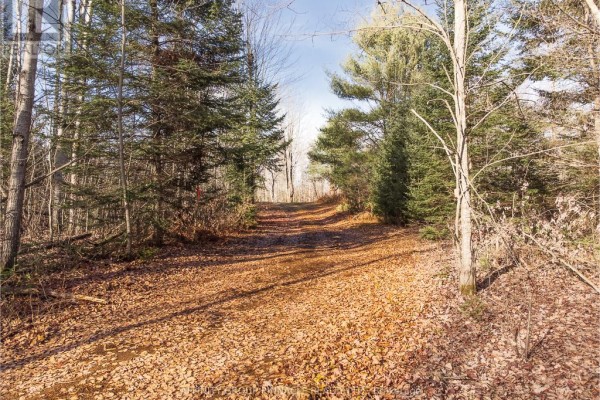 Lot 8 Comfort Drive, Highlands East, ON K0M1R0 Photo 5