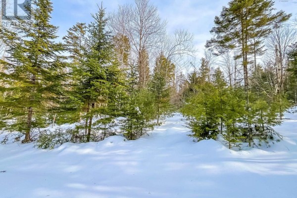 Lot 8 Conquerall Road, Conquerall Bank, NS B0R1G0 Photo 3