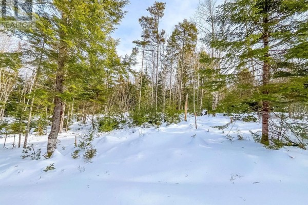 Lot 8 Conquerall Road, Conquerall Bank, NS B0R1G0 Photo 4