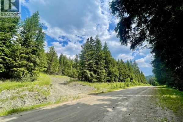 Lot 8 Fadear Creek Road, Kamloops, BC V0E2E0 Photo 4