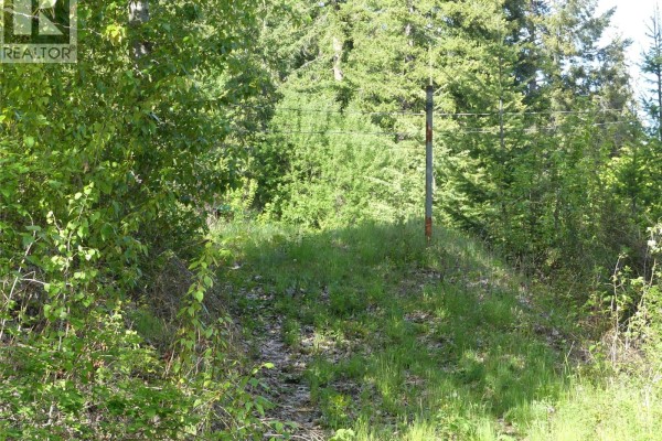 Wooded lot with a view of a lake, featuring stacked logs, a green shed, and blue tarps. - Lot 8 Lindsay Road, Magna Bay