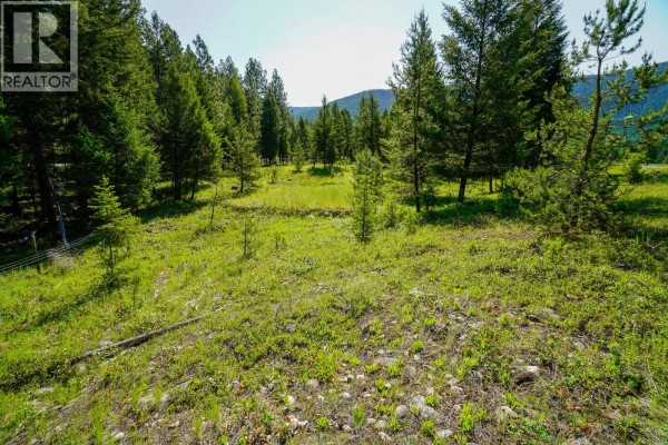 Lot 8 Mary G Road, Beaverdell, BC, photo 2