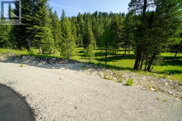 Lot 8 Mary G Road, Beaverdell, BC, photo 3