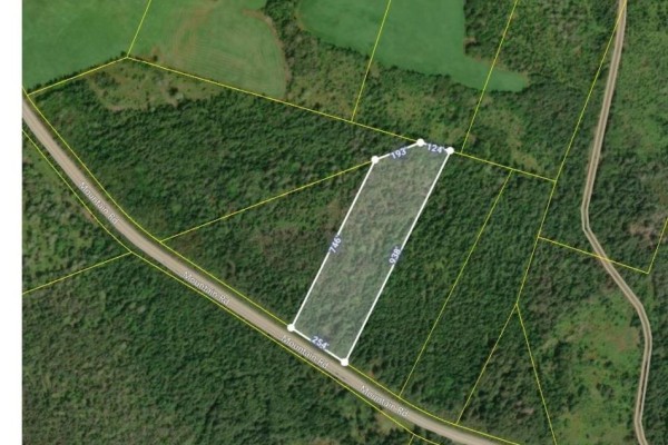 Lot 8 Mountain Road, River Tillard, NS B0E2X0 Photo 4