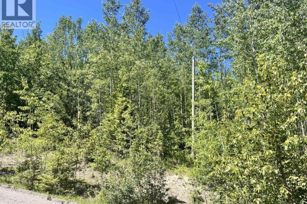 Lot 8 Purser Creek Road, Quesnel, BC V2J7C1 Photo 2
