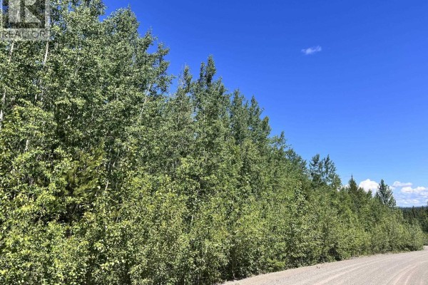 Lot 8 Purser Creek Road, Quesnel, BC V2J7C1 Photo 3