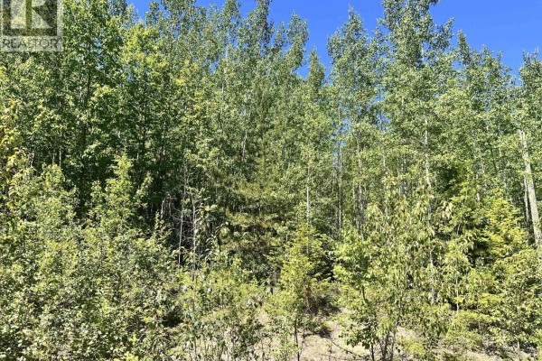 Lot 8 Purser Creek Road, Quesnel, BC V2J7C1 Photo 4
