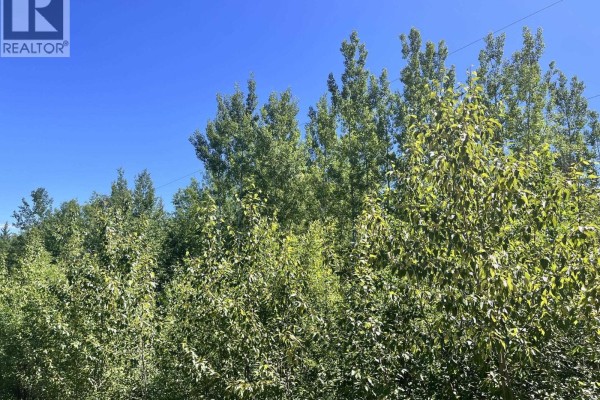 Lot 8 Purser Creek Road, Quesnel, BC V2J7C1 Photo 5
