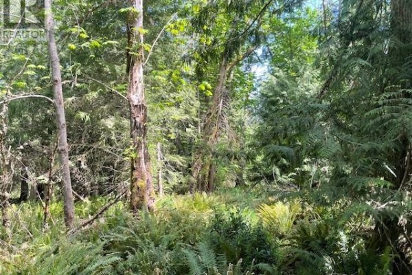 Lot 8 Rainbow Rd, Salt Spring, BC V8K2M7 Photo 4