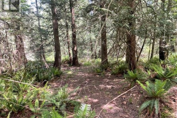 Lot 8 Rainbow Rd, Salt Spring, BC V8K2M7 Photo 5