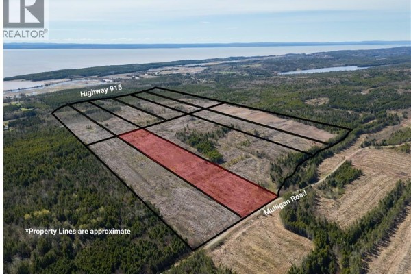 Lot 8 Route 915, Upper New Horton, NB E4H3T4 Photo 3