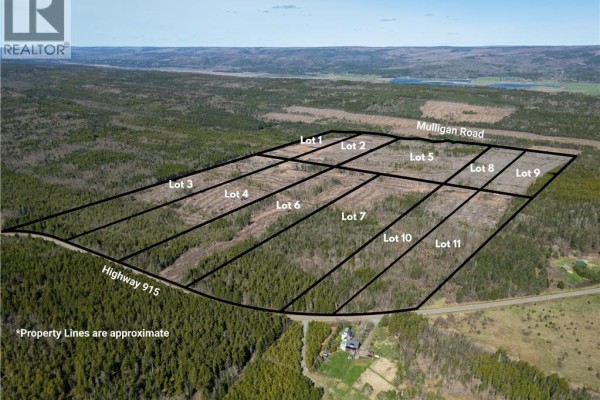 Lot 8 Route 915, Upper New Horton, NB E4H3T4 Photo 4
