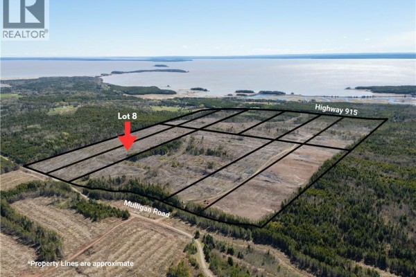 Lot 8 Route 915, Upper New Horton, NB E4H3T4 Photo 5