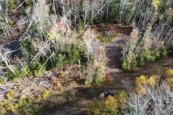 Lot 8 Shady Lane, Loch Broom, NS B0K1H0 Photo 5