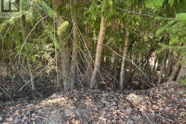 Lot 8 Stampede Trail, Anglemont, BC V0E1M8 Photo 4