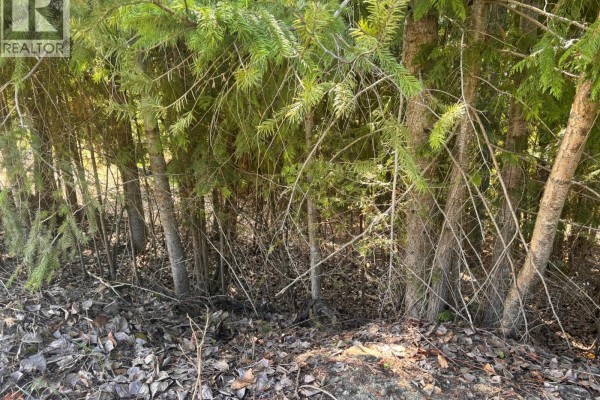 Lot 8 Stampede Trail, Anglemont, BC V0E1M8 Photo 5