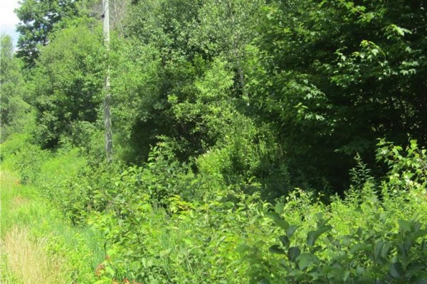 Lot 82-11 Route 770, Lee Settlement, NB E5C1E9 Photo 2