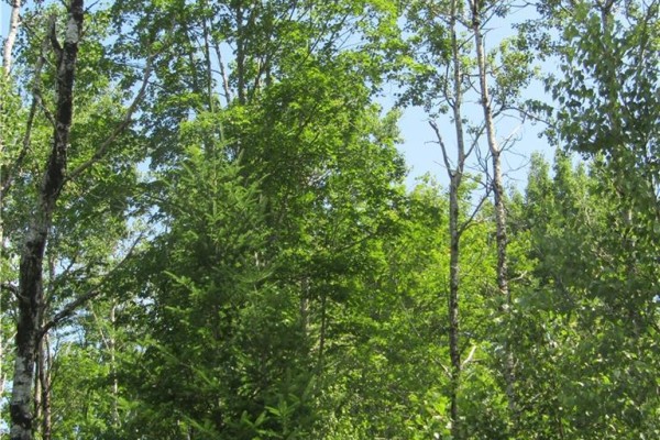 Lot 82-11 Route 770, Lee Settlement, NB E5C1E9 Photo 4