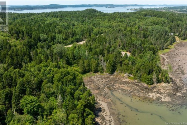 Lot 85-159 Harbour Heights Drive, Campobello Island, NB E5E1S5 Photo 5