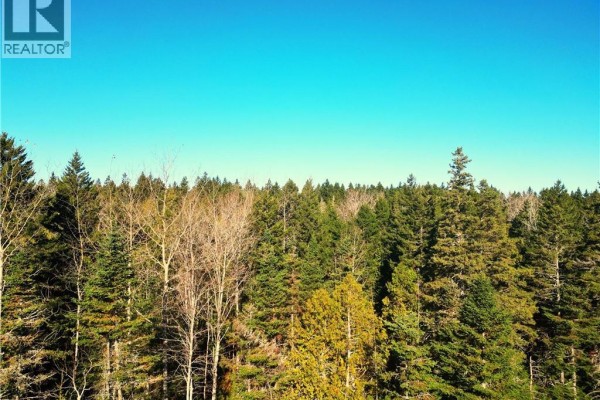 Lot 85-18 Harbour Heights Drive, Welshpool, NB E5E1H9 Photo 2