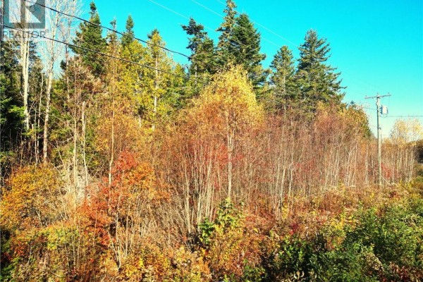 Lot 85-18 Harbour Heights Drive, Welshpool, NB E5E1H9 Photo 3