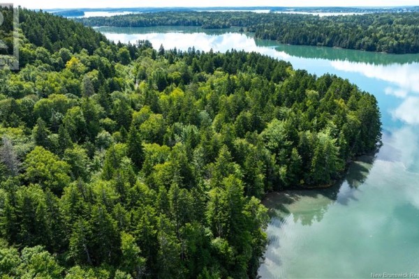 Lot 85-54 Bayview Drive, Campobello Island, NB E5E1Z3 Photo 4