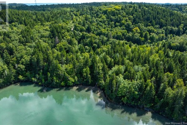 Lot 85-55 Bayview Drive, Campobello Island, NB E5E1Z3 Photo 4
