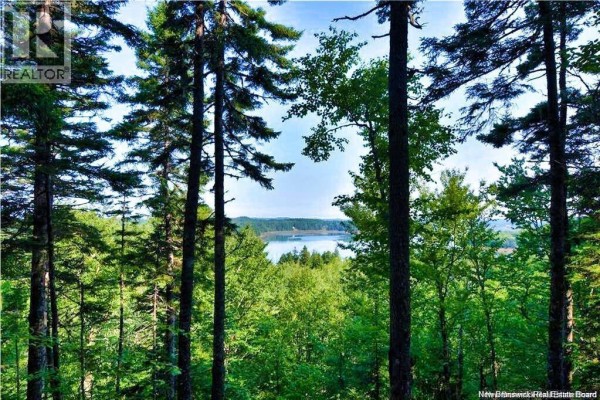 Lot 85-59 Bayview Drive, Wilsons Beach, NB E5E1Z3 Photo 5