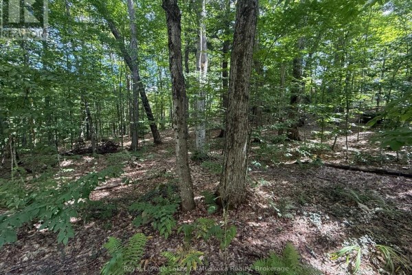 Lot 85 Brennan Circle, Huntsville, ON, photo 3
