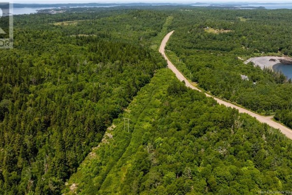 Lot 86-130 Fundy Drive, Campobello Island, NB E5E1C1 Photo 4