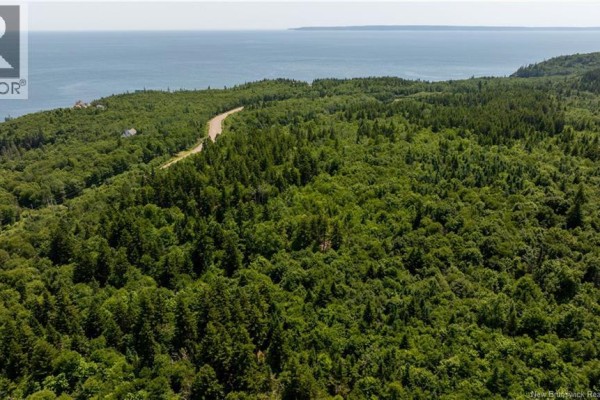 Lot 86-133 Fundy Drive, Campobello, NB E5E1C1 Photo 4