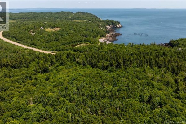 Lot 86-133 Fundy Drive, Campobello, NB E5E1C1 Photo 5