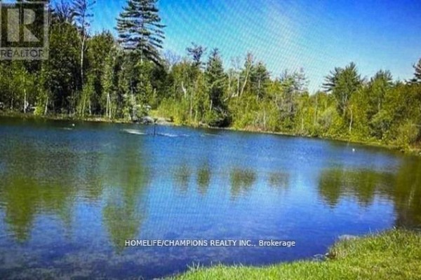 A picturesque view of a calm lake surrounded by lush green trees. - Lot 88 - 248 Pinnacle Hill Road, Alnwick/haldimand