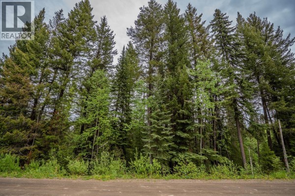 Lot 88 Julsrud Road, Deka Lake / Sulphurous / Hathaway Lakes, BC, photo 2