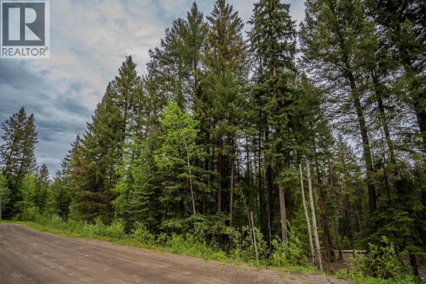 Lot 88 Julsrud Road, Deka Lake / Sulphurous / Hathaway Lakes, BC, photo 3