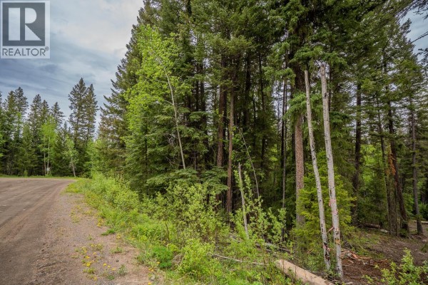 Lot 88 Julsrud Road, Deka Lake / Sulphurous / Hathaway Lakes, BC V0K1X3 Photo 4