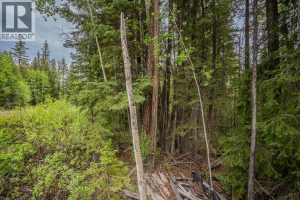 Lot 88 Julsrud Road, Deka Lake / Sulphurous / Hathaway Lakes, BC V0K1X3 Photo 5