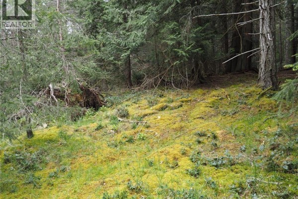 Lot 88 Sockeye Dr, Mudge Island, BC V0R1X6 Photo 4