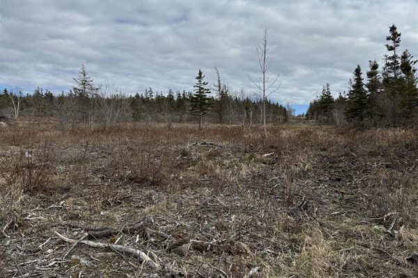 Lot 8b Shore Road West, Phinneys Cove, NS B0S1L0 Photo 3