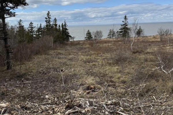 Lot 8b Shore Road West, Phinneys Cove, NS B0S1L0 Photo 5