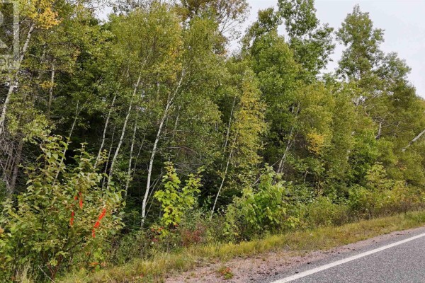 Lot 9 Balmoral Road, New Annan, NS B0K1V0 Photo 3