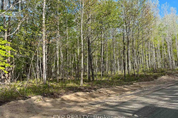 Lot 9 Casson Trail, Madawaska Valley, ON K0J1B0 Photo 5