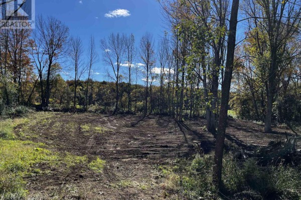 Lot 9 Concession 11 Concession S, Meaford, ON N4K1W1 Photo 3